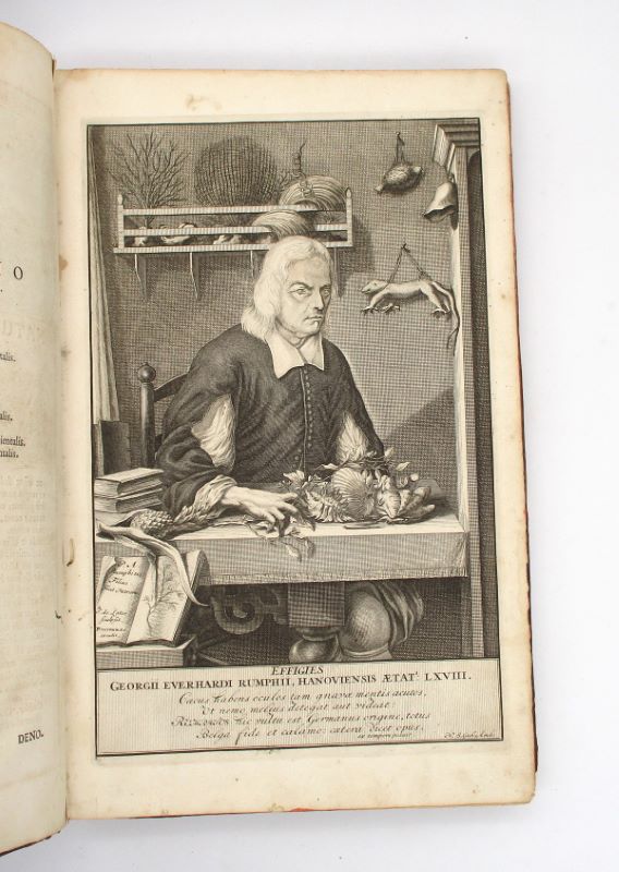 Couverture du livre Estimation du livre « description des espèces bovine, ovine et porcine de la France. Tome 1 : Espèce Bovine : Race flamande. »