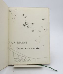 Estimation Livre illustré - Couverture du livre Estimation du livre « un drame dans une carafe »