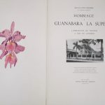Couverture du livre Estimation du livre « hommage à Guanabara la superbe »
