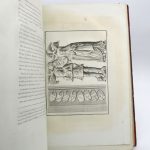 Couverture du livre Estimation du livre « nos oiseaux de mer, de rivière et de marais : La sauvagine en France. Chasse, description et histoire naturelle de toutes les espèces visitant nos contrées. »