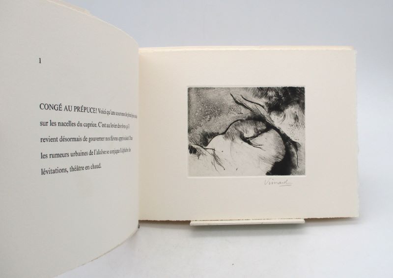 Couverture du livre Estimation du livre « théâtre en chaud »