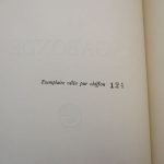 Couverture du livre Estimation du livre « la Vagabonde »