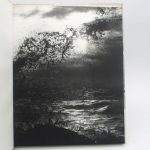 Couverture du livre Estimation du livre « née de la vague »