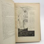 Couverture du livre Estimation du livre « le Rêve »
