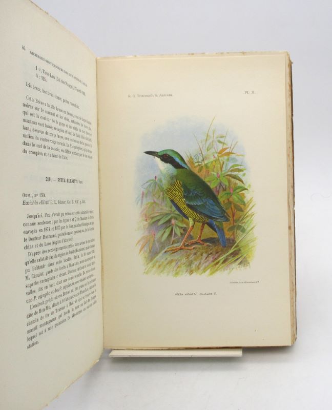 Couverture du livre Estimation du livre « recherches ornithologiques dans les provinces du Tranninh (Laos) de Thua-Thien et de Kontoum (Annam) et quelques autres régions de l’Indochine française III »