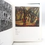 Couverture du livre Estimation du livre « chaïm Soutine (1893-1943) : Catalogue raisonné »