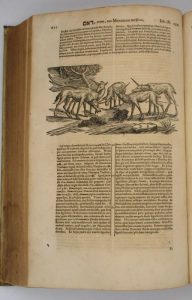 Estimation Livre ancien - Couverture du livre Estimation du livre « hierozoicon sive Bipertitum opus de Animalibus »