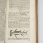 Couverture du livre Estimation du livre « hierozoicon sive Bipertitum opus de Animalibus »