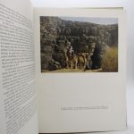 Couverture du livre Estimation du livre « art rupestre du Sahara libyen »