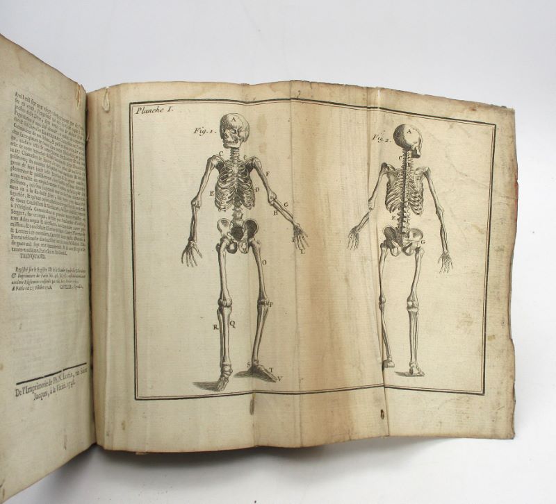 Couverture du livre Estimation du livre « nouveaux élémens d’anatomie raisonnée »