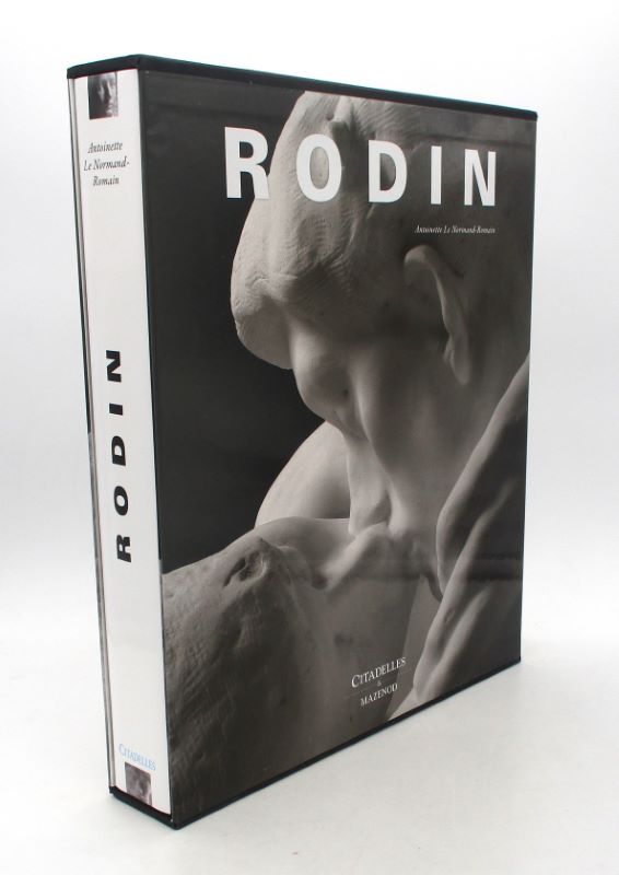 Couverture du livre Estimation du livre « rodin »