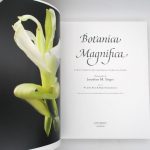 Couverture du livre Estimation du livre « botanica Magnifica : Les Fleurs et Plantes les plus extraordinaires et les plus rares du monde »