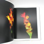 Couverture du livre Estimation du livre « botanica Magnifica : Les Fleurs et Plantes les plus extraordinaires et les plus rares du monde »