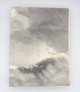 Estimation Livre illustré - Couverture du livre Estimation du livre « la Tempête »