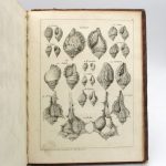 Couverture du livre Estimation du livre « histoire naturelle du Sénégal : coquillages. Avec la relation abrégée d’un voyage fait en ce pays, pendants les années 1749, 50, 51, 52 &53 »