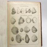 Couverture du livre Estimation du livre « histoire naturelle du Sénégal : coquillages. Avec la relation abrégée d’un voyage fait en ce pays, pendants les années 1749, 50, 51, 52 &53 »