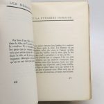 Couverture du livre Estimation du livre « les Dessous d’une vie ou la Pyramide humaine »