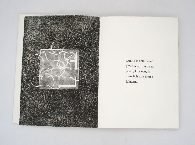 Couverture du livre Estimation du livre « un faux hiver des vers en prose »