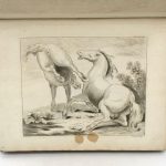 Couverture du livre Estimation du livre « album de 67 gravures sur différents thèmes »