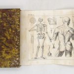 Couverture du livre Estimation du livre « Élémens d’anatomie et de physiologie comparée, dédiée aux gens du monde, ou Étude succincte des ressorts et des phénomènes de la vie chez l’homme et chez les animaux, avec des observations philosophiques et morales »