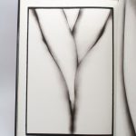 Couverture du livre Estimation du livre « embrace »