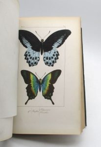 Estimation Sciences et médecine - Couverture du livre Estimation du livre « histoire naturelle des lépidoptères exotiques »