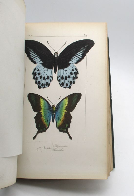 Couverture du livre Estimation du livre « histoire naturelle des lépidoptères exotiques »