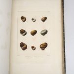 Couverture du livre Estimation du livre « histoire naturelle, générale et particulière des mollusques terrestres et fluviatiles, tant des espèces que l’on trouve aujourd’hui vivantes, que des dépouilles fossiles de celles qui n’existent plus; classés d’après les caractères essentiels que présentent ces animaux et leurs coquilles »