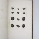 Couverture du livre Estimation du livre « histoire naturelle, générale et particulière des mollusques terrestres et fluviatiles, tant des espèces que l’on trouve aujourd’hui vivantes, que des dépouilles fossiles de celles qui n’existent plus; classés d’après les caractères essentiels que présentent ces animaux et leurs coquilles »