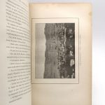 Couverture du livre Estimation du livre « les Frères Kip »
