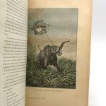 Couverture du livre Estimation du livre « cinq semaines en ballon »