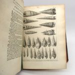 Couverture du livre Estimation du livre « l’Histoire naturelle éclaircie dans deux de ses parties principales la lithologie et la conchyliologie dont l’une traite des pierres et l’autre des coquillages »