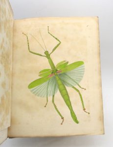 Estimation Sciences et médecine - Couverture du livre Estimation du livre « orthoptera descripta et depicta a T. de Charpentier »