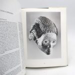 Couverture du livre Estimation du livre « art Bakongo : Les Masques (3e volume) »