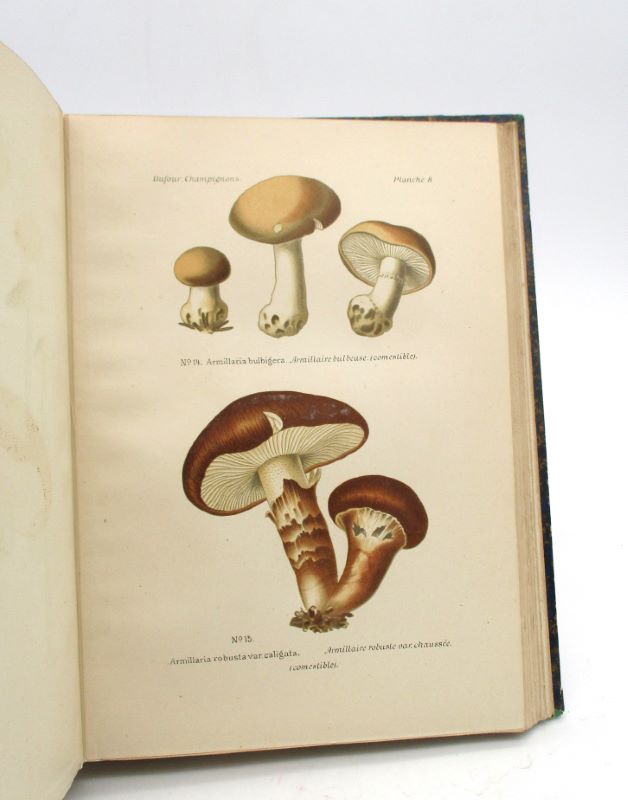Couverture du livre Estimation du livre « atlas des champignons comestibles et vénéneux »