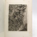 Couverture du livre Estimation du livre « À travers de l’Afrique équatoriale »