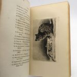Couverture du livre Estimation du livre « catalogue complet d’eaux-fortes originales et inédites composées & gravées par les artistes eux-mêmes avec dix planches types divers »