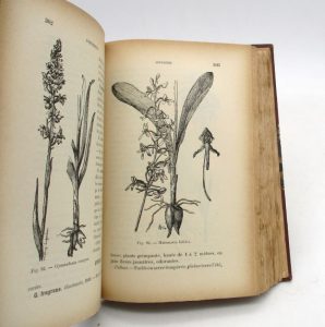 Estimation Sciences et médecine - Couverture du livre Estimation du livre « les Plantes bulbeuses, tuberculeuses et rhizomateuses, ornementales, de serre et de pleine terre »