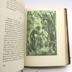 Couverture du livre Estimation du livre « la Vie des abeilles »