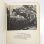 Couverture du livre Estimation du livre « cheval quand tu nous tiens ! »
