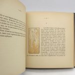 Couverture du livre Estimation du livre &laquo;&nbsp;le Voyage d&rsquo;Urien&nbsp;&raquo;