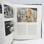 Couverture du livre Estimation du livre « anna-Eva Bergman : Liv og Verk / Vie et Oeuvre »