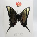 Couverture du livre Estimation du livre « cornucopia »