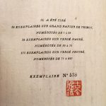 Couverture du livre Estimation du livre « stèles »