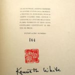 Couverture du livre Estimation du livre « hong Kong – Scènes d’un monde flottant »