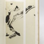 Couverture du livre Estimation du livre « les Bains célestes »