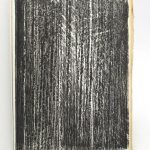 Couverture du livre Estimation du livre « le Cep de la nuit »