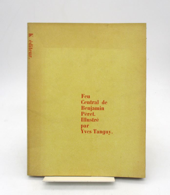 Couverture du livre Estimation du livre « feu central »