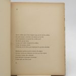 Couverture du livre Estimation du livre « feu central »