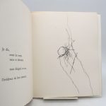 Couverture du livre Estimation du livre « espace déluté »